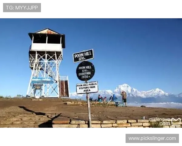 在PA国际亚游开启您的幸运之旅,体验高效便捷的在线博彩新体验