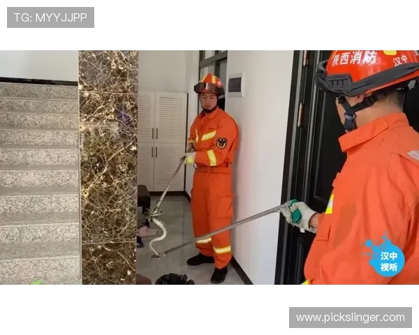 AG牛牛官网安全保障措施，确保每位玩家的资金与信息安全